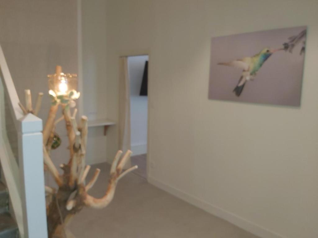 Apartamento Vichy Sejour Habitación foto